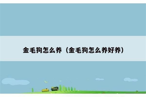 金毛狗咋么養(yǎng)（金毛狗咋么養(yǎng)好養(yǎng)）