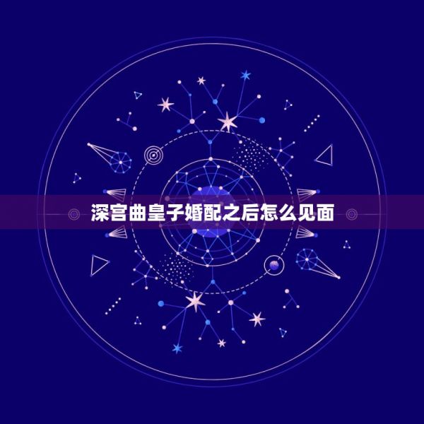 深宫曲皇子婚配之后怎么见面，深宫曲怎么看女婿 第1张