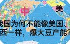 我國(guó)為何不能像美國(guó)、巴西那樣，爆大豆產(chǎn)能？