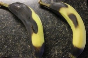 蕎麥快手面包丨健康·烘焙的做法步驟 第1步
