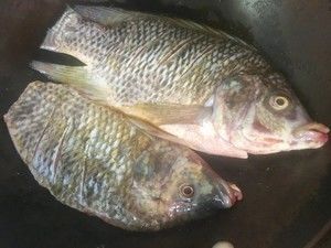 家庭版烤魚（不辣）的做法步驟 第1步