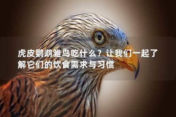 虎皮鸚鵡雛鳥吃什么？讓我們一起了解它們的飲食需求與習慣
