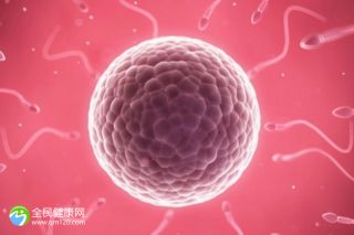 如何判斷母乳喂養(yǎng)的寶寶吃沒吃飽 激素水平可以看出卵泡質(zhì)量嗎