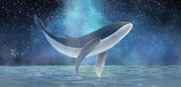 車輛狀態(tài)p是什么意思