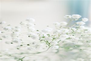 肇慶健康證網上查詢入口