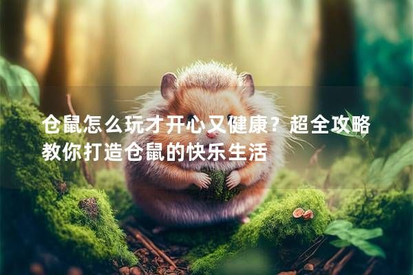 倉鼠怎么玩才開心又健康？超全攻略教你打造倉鼠的快樂生活