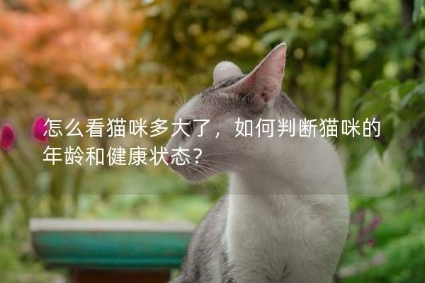 怎么看貓咪多大了，如何判斷貓咪的年齡和健康狀態(tài)？