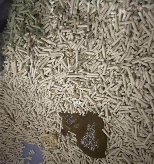 貓咪的健康離不開(kāi)正常的便便排泄（從便便看貓咪的健康狀態(tài)）