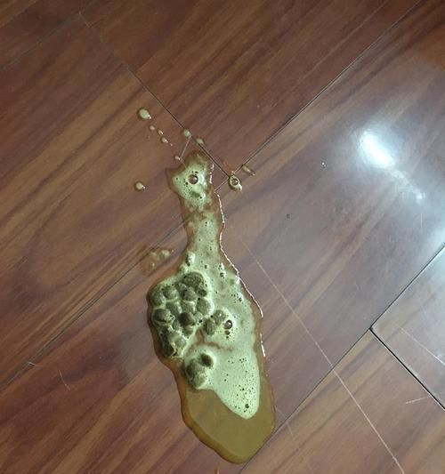 貓咪的健康離不開(kāi)正常的便便排泄（從便便看貓咪的健康狀態(tài)）