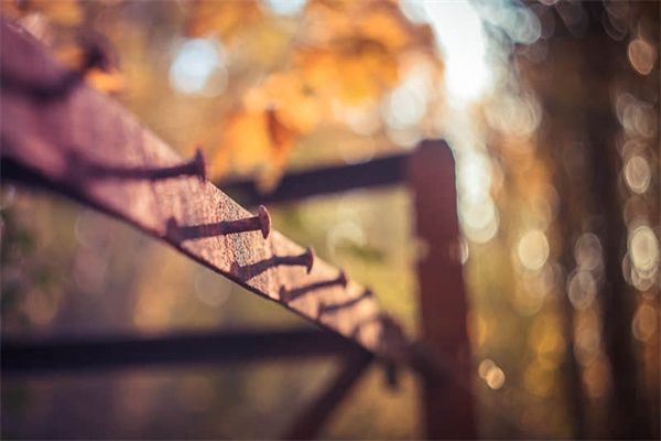 看病人為什么不能送蘋果-看病人忌諱送三類水果