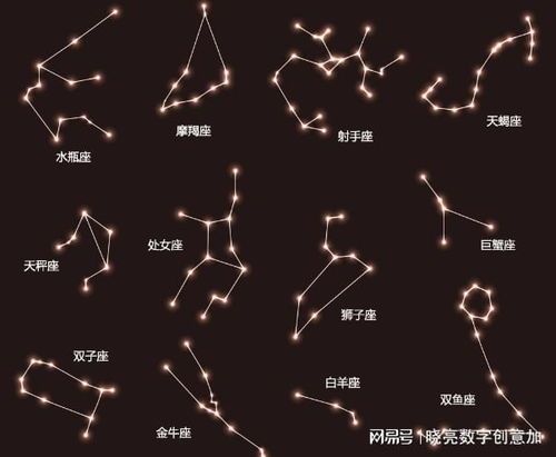 揭秘你的生肖星座秘密：如何一眼看透本命盤？