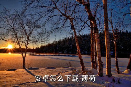 安卓怎么下載 薄荷