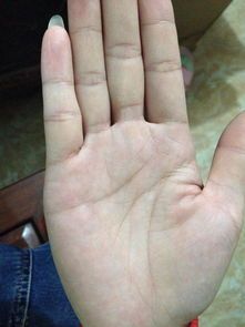 女手紋線各代表什么圖解