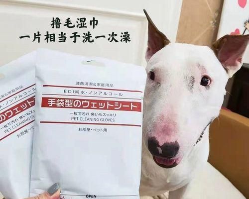 寵物貓咪持續(xù)脫毛的解決方法（如何有效地幫助貓咪恢復(fù)毛發(fā)健康）