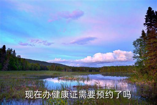 現(xiàn)在辦健康證需要預(yù)約了嗎