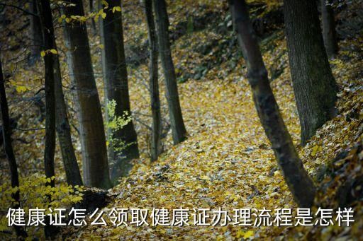健康證怎么領(lǐng)取健康證辦理流程是怎樣