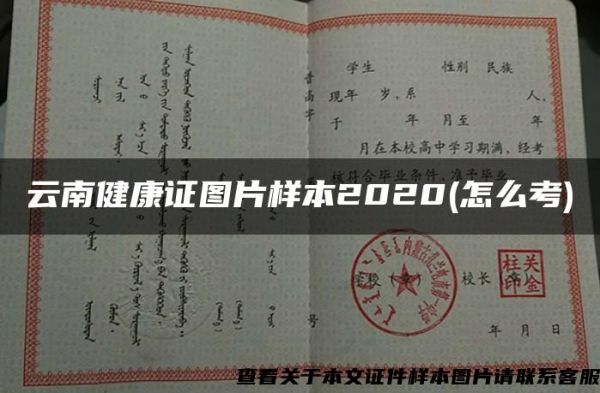 云南健康證圖片樣本2020(怎么考)