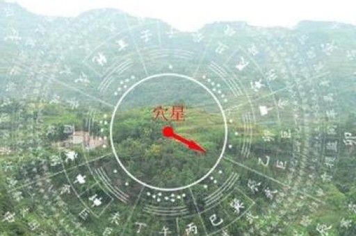 男孩女孩怎么看手相女感情