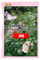 加州健康保险怎么选?不同需求计划推荐