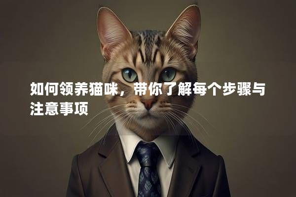 如何領(lǐng)養(yǎng)貓咪，帶你了解每個(gè)步驟與注意事項(xiàng)