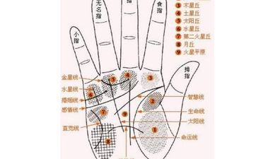中醫(yī)從手相看你健康疾病如何