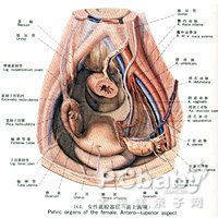 盆腔腫塊