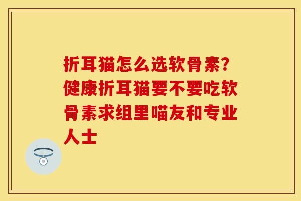 折耳貓怎么選軟骨素？健康折耳貓要不要吃軟骨素求組里喵友和專業(yè)人士-第1張圖片-關(guān)節(jié)保鏢
