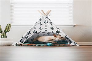 體檢電子發(fā)票怎么開具流程