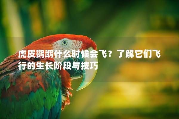 虎皮鸚鵡什么時候會飛？了解它們飛行的生長階段與技巧