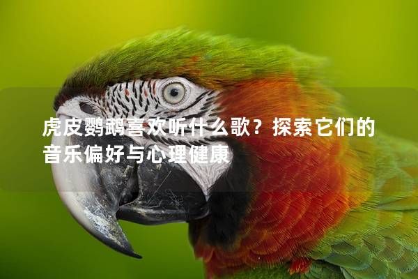 虎皮鸚鵡喜歡聽(tīng)什么歌？探索它們的音樂(lè)偏好與心理健康