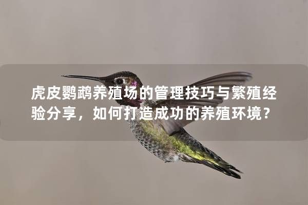 虎皮鸚鵡養(yǎng)殖場的管理技巧與繁殖經(jīng)驗分享，如何打造成功的養(yǎng)殖環(huán)境？