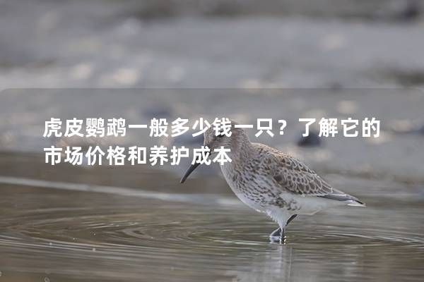 虎皮鸚鵡一般多少錢一只？了解它的市場價(jià)格和養(yǎng)護(hù)成本