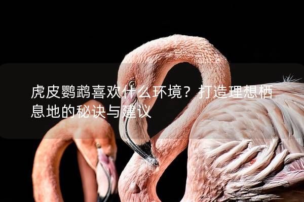 虎皮鸚鵡喜歡什么環(huán)境？打造理想棲息地的秘訣與建議