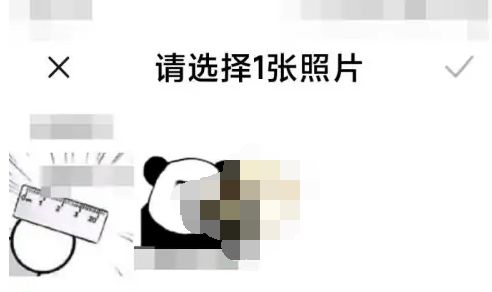 小米运动健康如何设置头像？详细步骤教程及注意事项图片 第6张