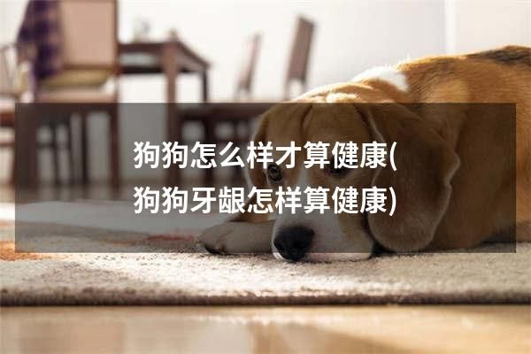 狗狗怎么樣才算健康(狗狗牙齦怎樣算健康)