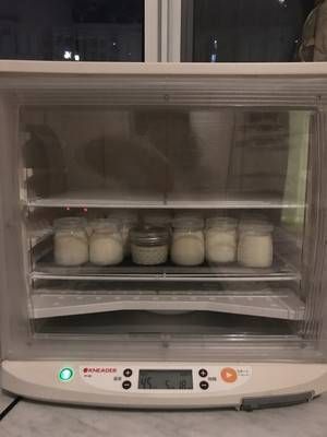 健康美味原味酸奶的做法步驟 第8步