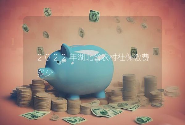 2022年湖北省農(nóng)村社保繳費(fèi)多少