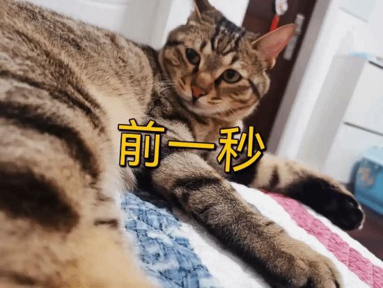 “秒睡”背后隱藏健康風(fēng)險(xiǎn)