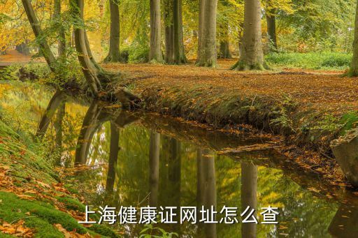 上海健康证网址怎么查