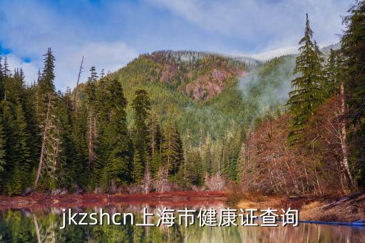 jkzshcn上海市健康证查询