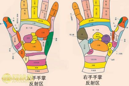 手相看健康狀況 看手紋知健康