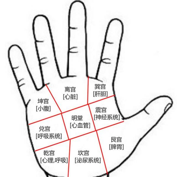 手相解讀；從手掌上看健康