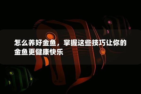 怎么養(yǎng)好金魚，掌握這些技巧讓你的金魚更健康快樂