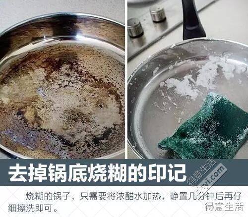 金魚(yú)糞便處理指南：寵物清潔小技巧，輕松解決！