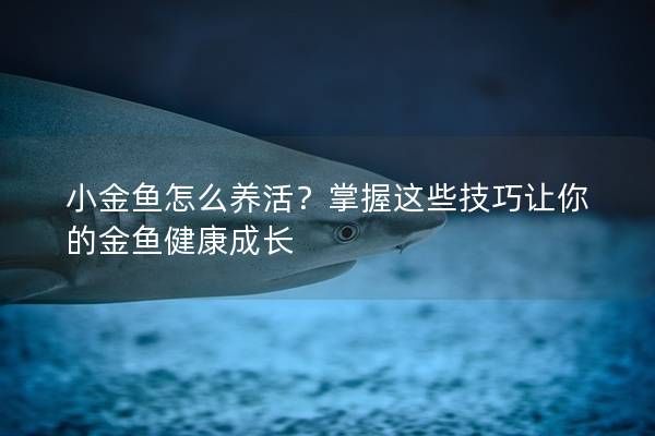 小金魚怎么養(yǎng)活？掌握這些技巧讓你的金魚健康成長