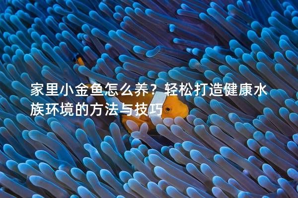 家里小金魚怎么養(yǎng)？輕松打造健康水族環(huán)境的方法與技巧