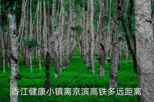 香江健康小镇离京滨高铁多远距离