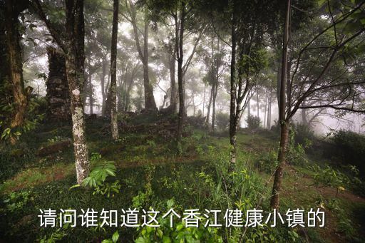 请问谁知道这个香江健康小镇的