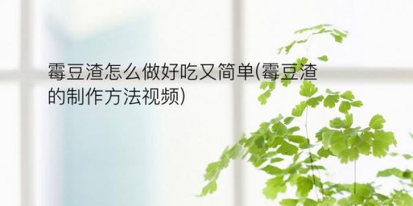 霉豆渣怎么做好吃又簡單(霉豆渣的制作方法視頻)
