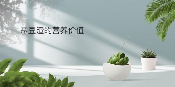 霉豆渣的营养价值